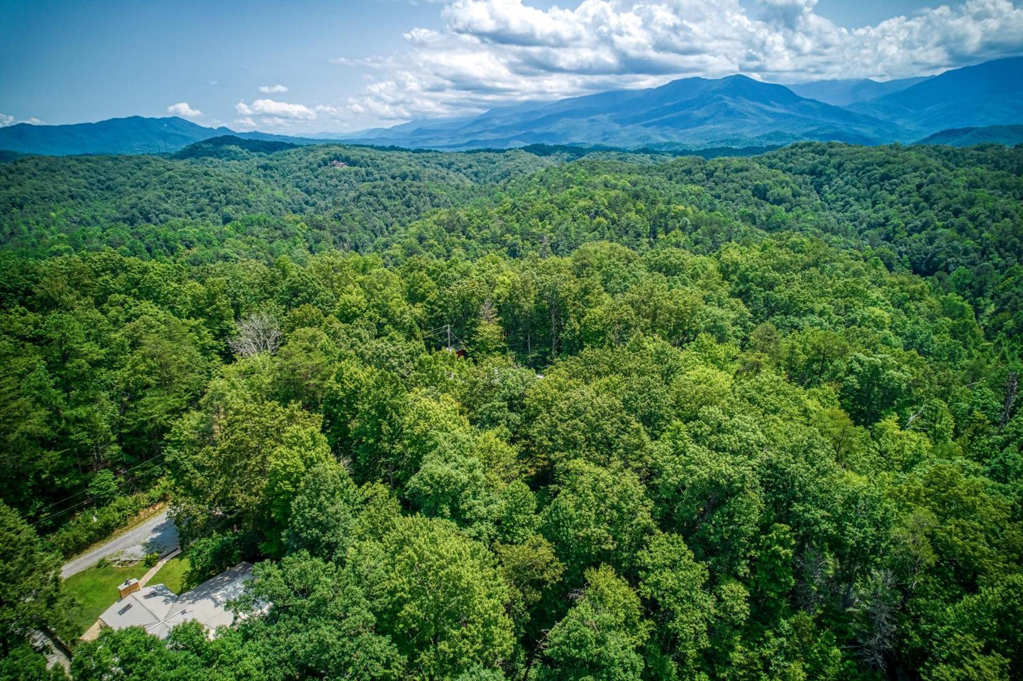 Whispering Winds, Hot Tub, Game Room, Wifi, 1089 Free Tickets Each Paid Day, Dollywood And More Gatlinburg Eksteriør bilde
